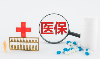 中药饮片 传统智慧与现代医疗的桥梁